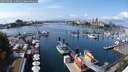./images/victoria/wharf/20250908/wharf20250908_133012M.jpg