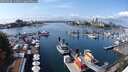 ./images/victoria/wharf/20250908/wharf20250908_134011M.jpg