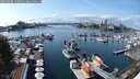 ./images/victoria/wharf/20250908/wharf20250908_143011M.jpg