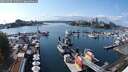 ./images/victoria/wharf/20250908/wharf20250908_150510M.jpg
