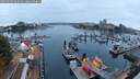 ./images/victoria/wharf/20250909/wharf20250909_065011M.jpg