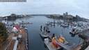 ./images/victoria/wharf/20250909/wharf20250909_065509M.jpg