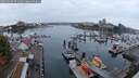 ./images/victoria/wharf/20250909/wharf20250909_071010M.jpg