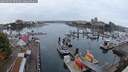 ./images/victoria/wharf/20250909/wharf20250909_072508M.jpg