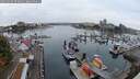./images/victoria/wharf/20250909/wharf20250909_073011M.jpg