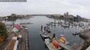 ./images/victoria/wharf/20250909/wharf20250909_080012M.jpg