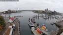 ./images/victoria/wharf/20250909/wharf20250909_081011M.jpg