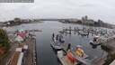 ./images/victoria/wharf/20250909/wharf20250909_084511M.jpg