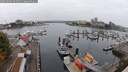 ./images/victoria/wharf/20250909/wharf20250909_092510M.jpg