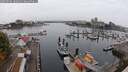 ./images/victoria/wharf/20250909/wharf20250909_100012M.jpg