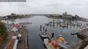 ./images/victoria/wharf/20250909/wharf20250909_103012M.jpg