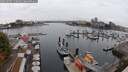 ./images/victoria/wharf/20250909/wharf20250909_110012M.jpg