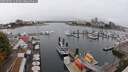 ./images/victoria/wharf/20250909/wharf20250909_114009M.jpg