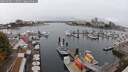 ./images/victoria/wharf/20250909/wharf20250909_115011M.jpg