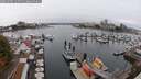 ./images/victoria/wharf/20250909/wharf20250909_120510M.jpg