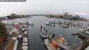 ./images/victoria/wharf/20250909/wharf20250909_121011M.jpg