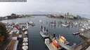 ./images/victoria/wharf/20250909/wharf20250909_130510M.jpg