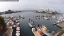 ./images/victoria/wharf/20250909/wharf20250909_131010M.jpg