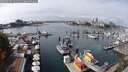 ./images/victoria/wharf/20250909/wharf20250909_131511M.jpg
