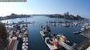 ./images/victoria/wharf/20250909/wharf20250909_162011M.jpg