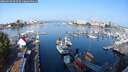 ./images/victoria/wharf/20250910/wharf20250910_092510M.jpg