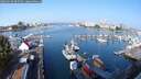 ./images/victoria/wharf/20250910/wharf20250910_095511M.jpg
