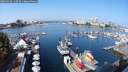 ./images/victoria/wharf/20250910/wharf20250910_110509M.jpg
