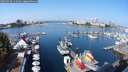 ./images/victoria/wharf/20250910/wharf20250910_111008M.jpg