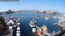 ./images/victoria/wharf/20250910/wharf20250910_112510M.jpg