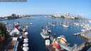 ./images/victoria/wharf/20250910/wharf20250910_113511M.jpg