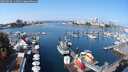 ./images/victoria/wharf/20250910/wharf20250910_114011M.jpg