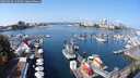 ./images/victoria/wharf/20250910/wharf20250910_115510M.jpg