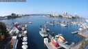 ./images/victoria/wharf/20250910/wharf20250910_121009M.jpg