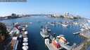 ./images/victoria/wharf/20250910/wharf20250910_121510M.jpg