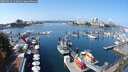 ./images/victoria/wharf/20250910/wharf20250910_123012M.jpg