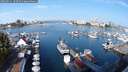 ./images/victoria/wharf/20250911/wharf20250911_100510M.jpg