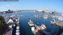 ./images/victoria/wharf/20250911/wharf20250911_102510M.jpg