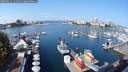 ./images/victoria/wharf/20250911/wharf20250911_111512M.jpg