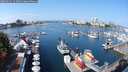 ./images/victoria/wharf/20250911/wharf20250911_113508M.jpg