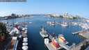 ./images/victoria/wharf/20250911/wharf20250911_114511M.jpg