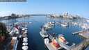 ./images/victoria/wharf/20250911/wharf20250911_120011M.jpg