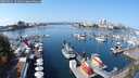 ./images/victoria/wharf/20250911/wharf20250911_121011M.jpg