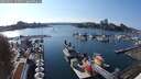 ./images/victoria/wharf/20250911/wharf20250911_163510M.jpg