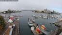 ./images/victoria/wharf/20250912/wharf20250912_095010M.jpg