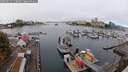 ./images/victoria/wharf/20250912/wharf20250912_110011M.jpg