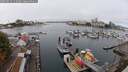 ./images/victoria/wharf/20250912/wharf20250912_111009M.jpg