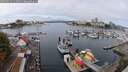 ./images/victoria/wharf/20250912/wharf20250912_114011M.jpg