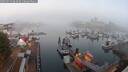 ./images/victoria/wharf/20250913/wharf20250913_064010M.jpg