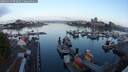 ./images/victoria/wharf/20250913/wharf20250913_072011M.jpg