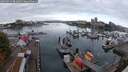 ./images/victoria/wharf/20250913/wharf20250913_081011M.jpg